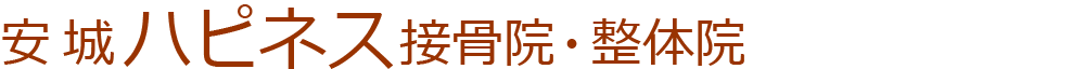 安城ハピネス接骨院・整体院
