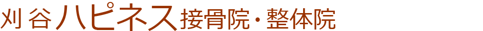 刈谷ハピネス接骨院・整体院
