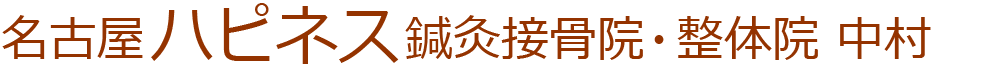 名古屋ハピネス鍼灸接骨院・整体院　中村