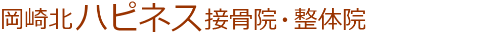 岡崎北ハピネス接骨院・整体院