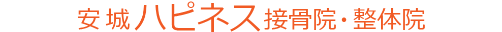 安城ハピネス接骨院・整体院