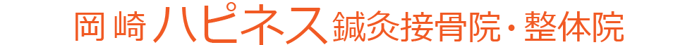 岡崎ハピネス鍼灸接骨院・整体院
