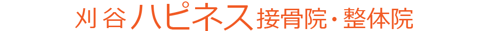 刈谷ハピネス接骨院・整体院