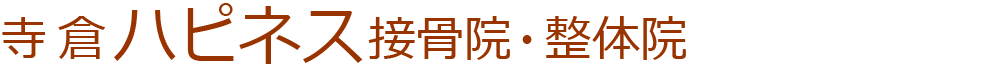 寺倉ハピネス接骨院・整体院