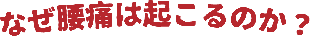 なぜ腰痛は起こるのか？